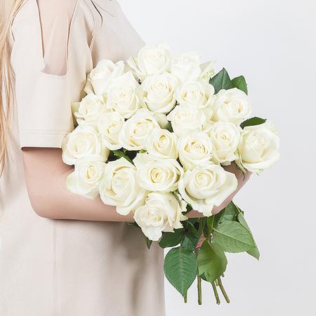 21 белая роза (70 см)