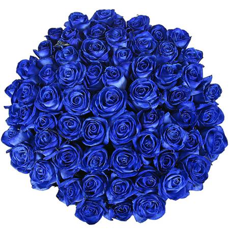 Букет 101 роза синяя "Азалия"